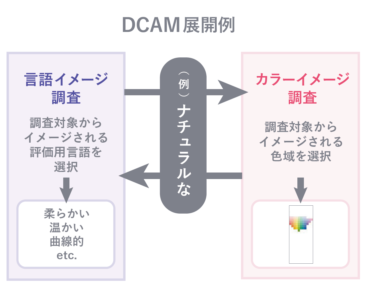 DCAM展開例