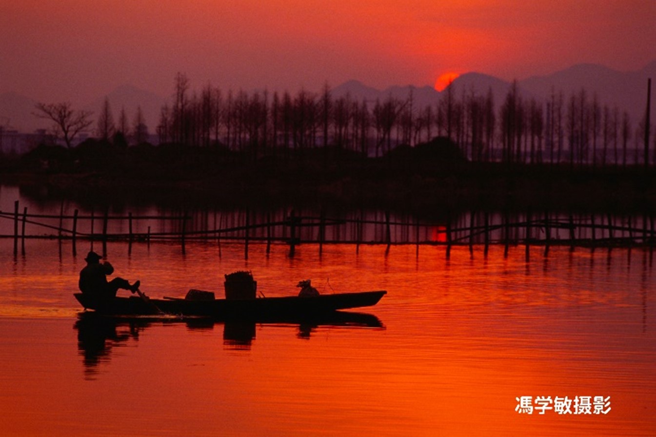 浙江绍兴《夕阳晚归》